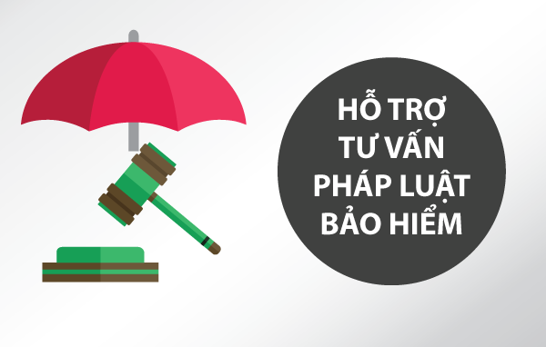 Tư vấn pháp luật về bảo hiểm